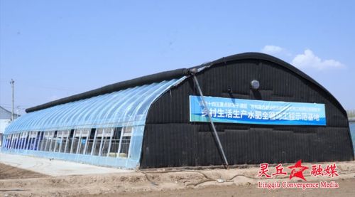 農大學子借力農用酵素微生物工廠，以“大地論文”助力鄉村振興